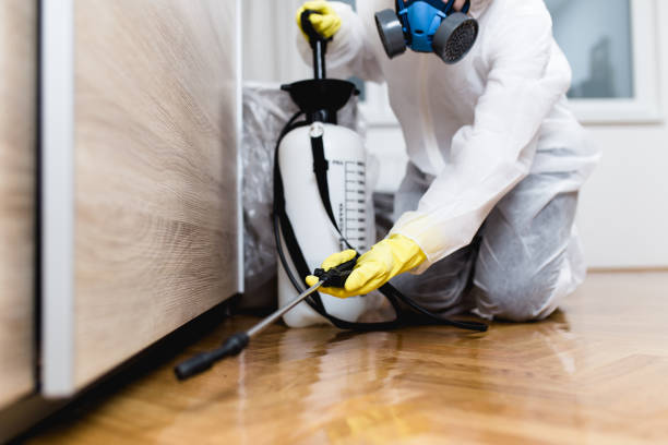 Best Exterminator Services  in Sho Creek, AL