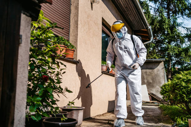 Trusted Shoal Creek, AL Pest Control Experts