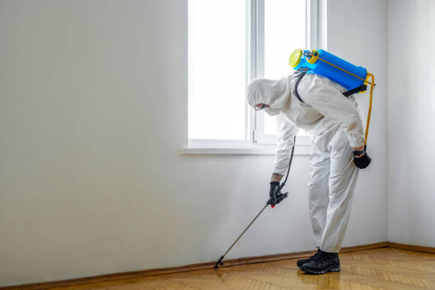 Best Emergency Pest Control  in Sho Creek, AL