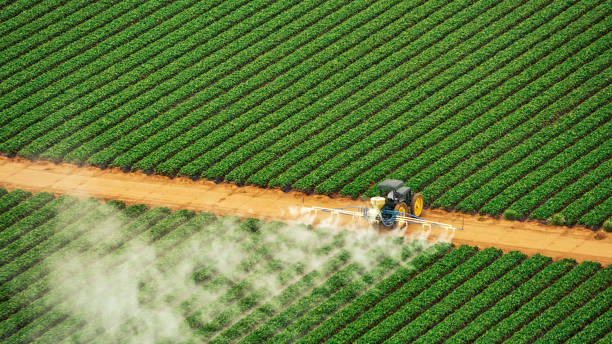 Best Best Pest Control Companies  in Sho Creek, AL